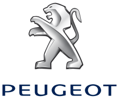 Peugeot fejegységek